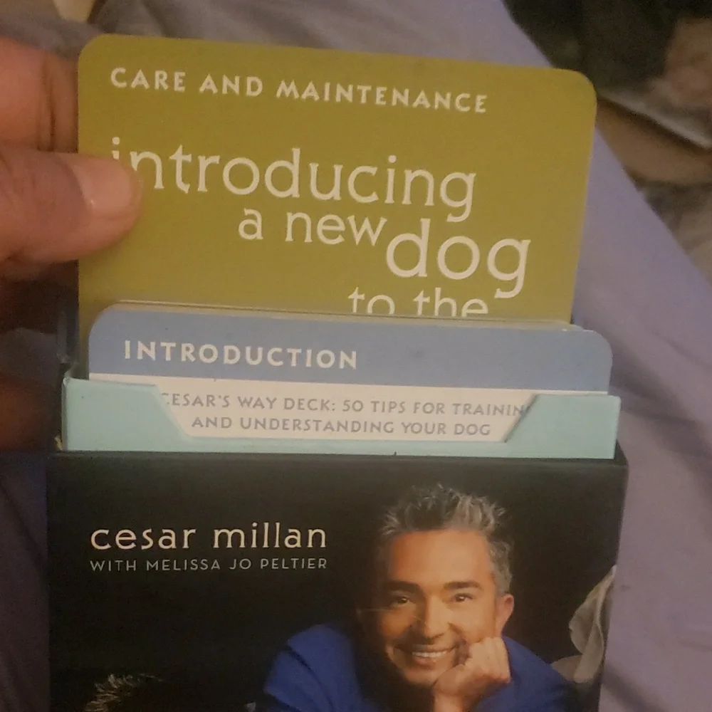 Cesar's Way Deck - 50 Tips for Dog Training